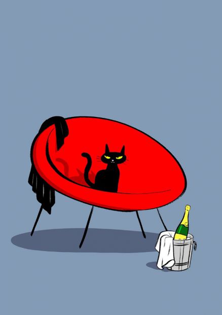 illustration-franckie-chat-champagne.jpg - Franckie | Virginie