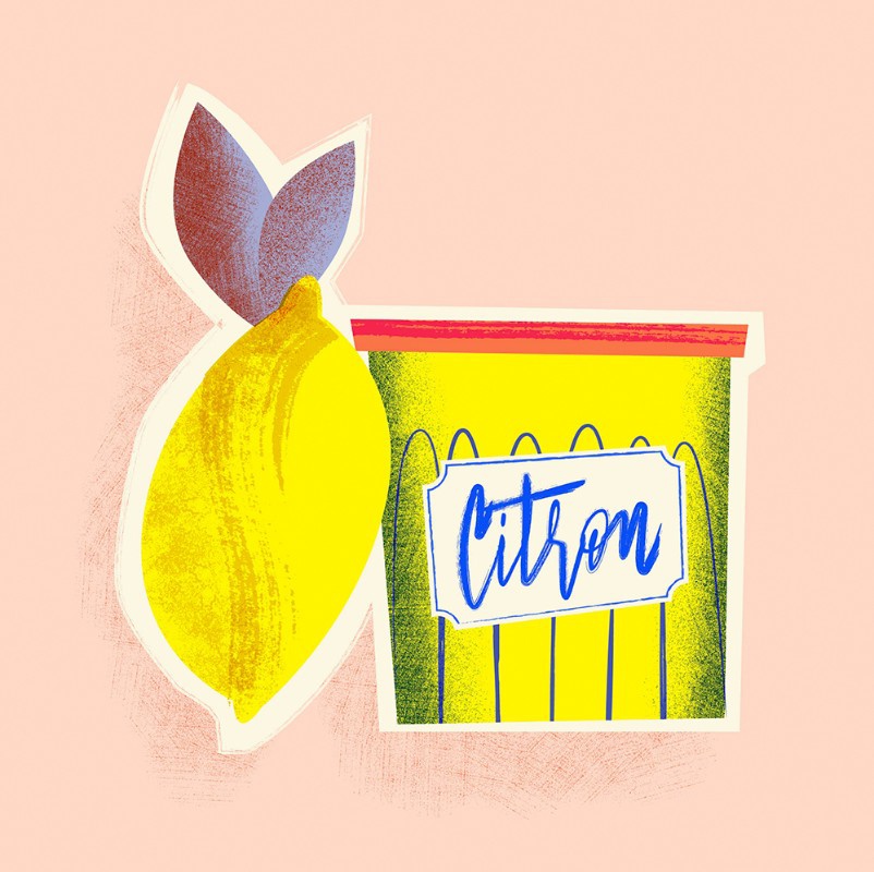 illustration-lulu-la-nantaise-citron.jpg - Lulu LA NANTAISE | Virginie