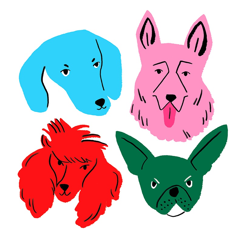 illustration-kei-lam-dogs.jpg - Kei LAM | Virginie