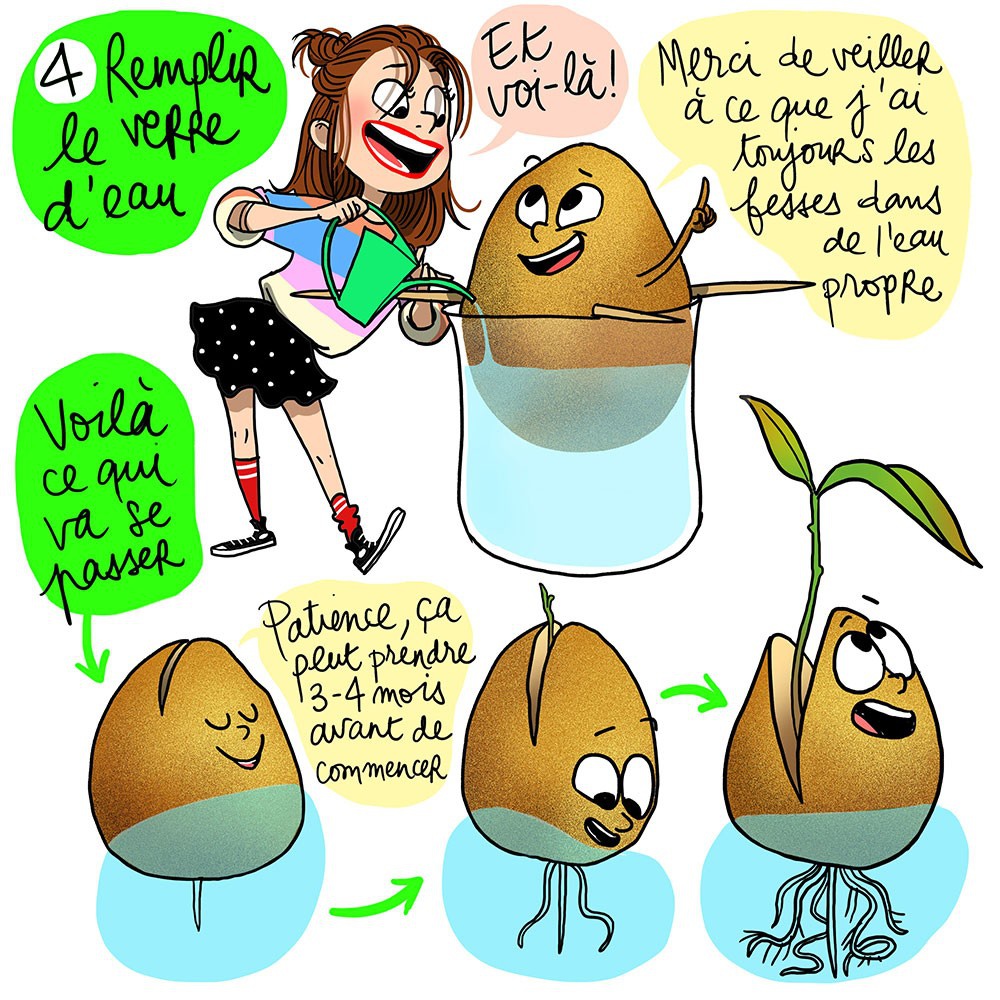 illustration-margaux-motin-avocat-2.jpg - Margaux MOTIN | Virginie