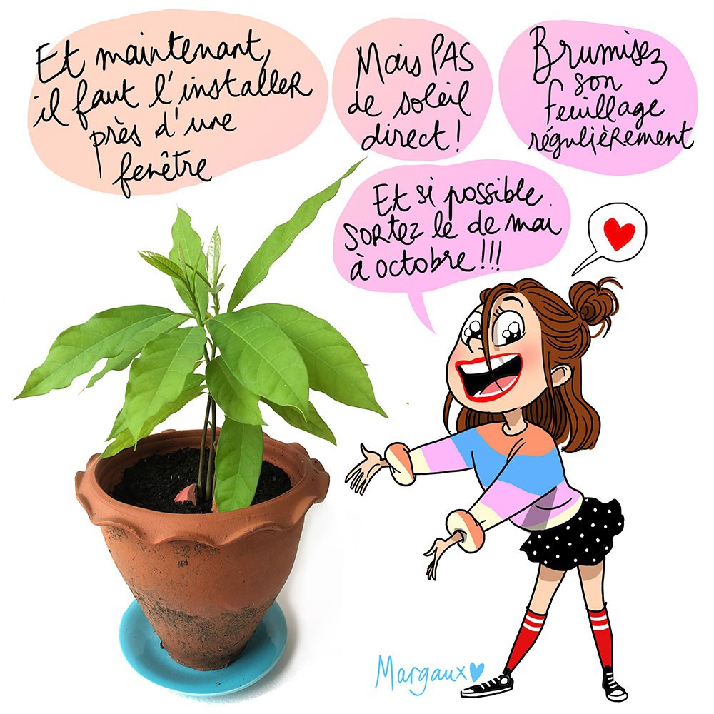 illustration-margaux-motin-avocat-4.jpg - Margaux MOTIN | Virginie