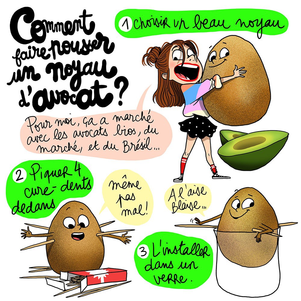 illustration-margaux-motin-avocat.jpg - Margaux MOTIN | Virginie