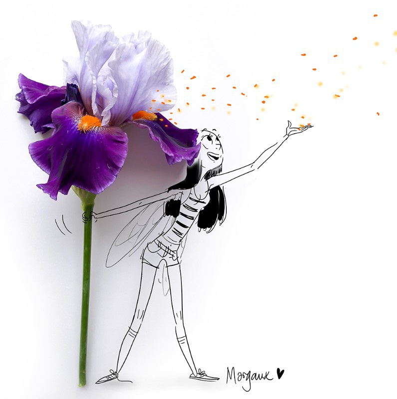 illustration-margaux-motin-iris.jpg - Margaux MOTIN | Virginie