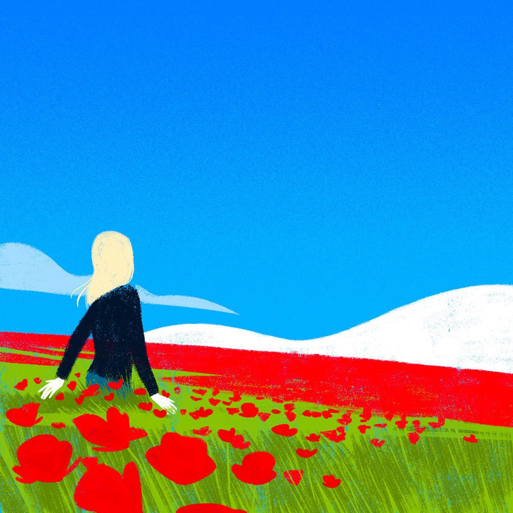 illustration-sebastien-pelon-coquelicots.jpg - Sbastien PELON | Virginie