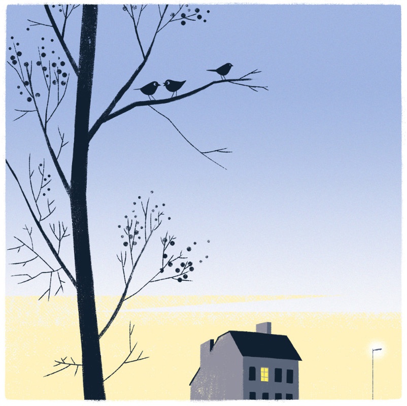 illustration-sebastien-pelon-oiseaux.jpg - Sbastien PELON | Virginie