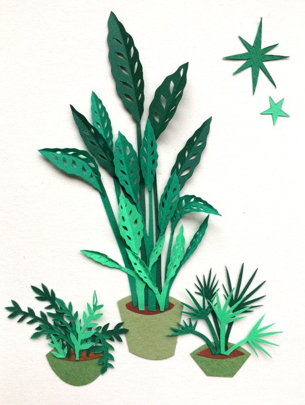 illustration-lila-poppins-plantes.jpg - Lila POPPINS | Virginie