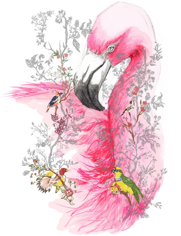 CR-illustration-flamingo.jpg - Ccile ROUBIO | Virginie